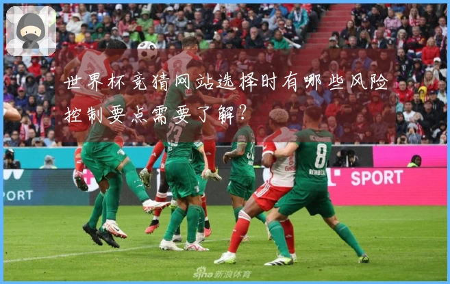 世界杯竞猜网站选择时有哪些风险控制要点需要了解?